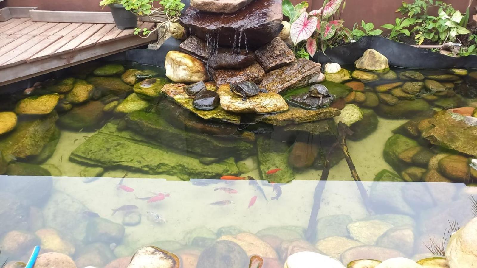 פנייה Pousada Vo Lica Com Piscina מראה חיצוני תמונה